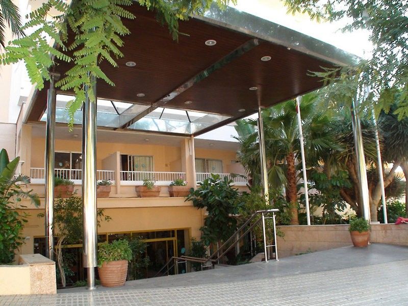 Globales Mimosa Hotel Palmanova Exterior foto